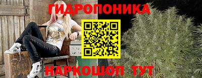 apvp Анжеро-Судженск