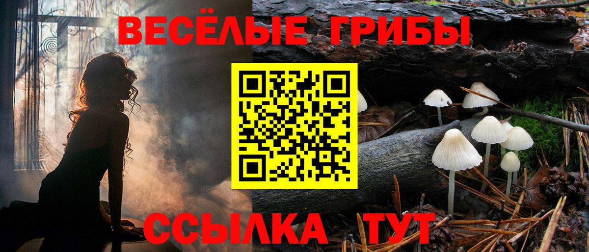 Бердск  Галлюциногенные грибы GOLDEN TEACHER  Вход с VPN 